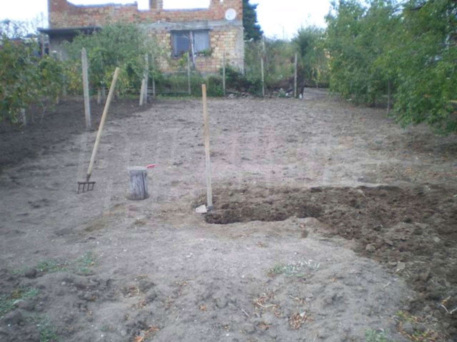 Gallery Picture 16
