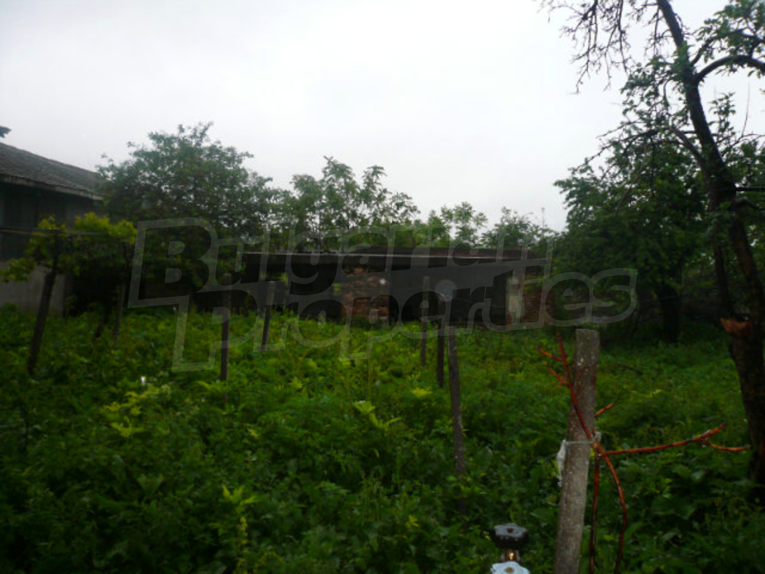 Gallery Picture 15