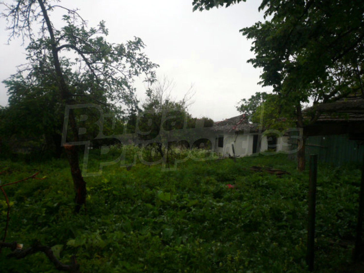 Gallery Picture 16
