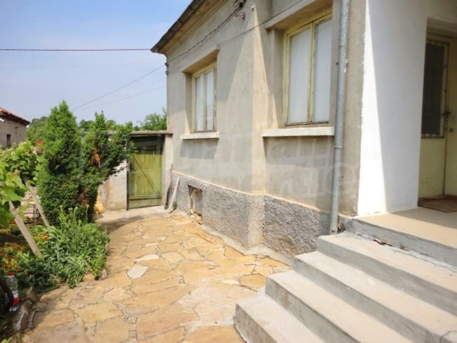 Gallery Picture 23