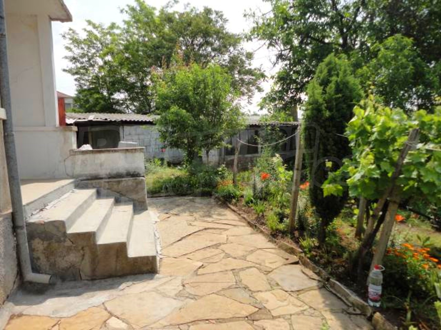 Gallery Picture 24