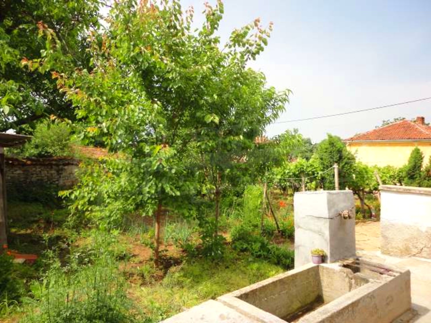 Gallery Picture 26