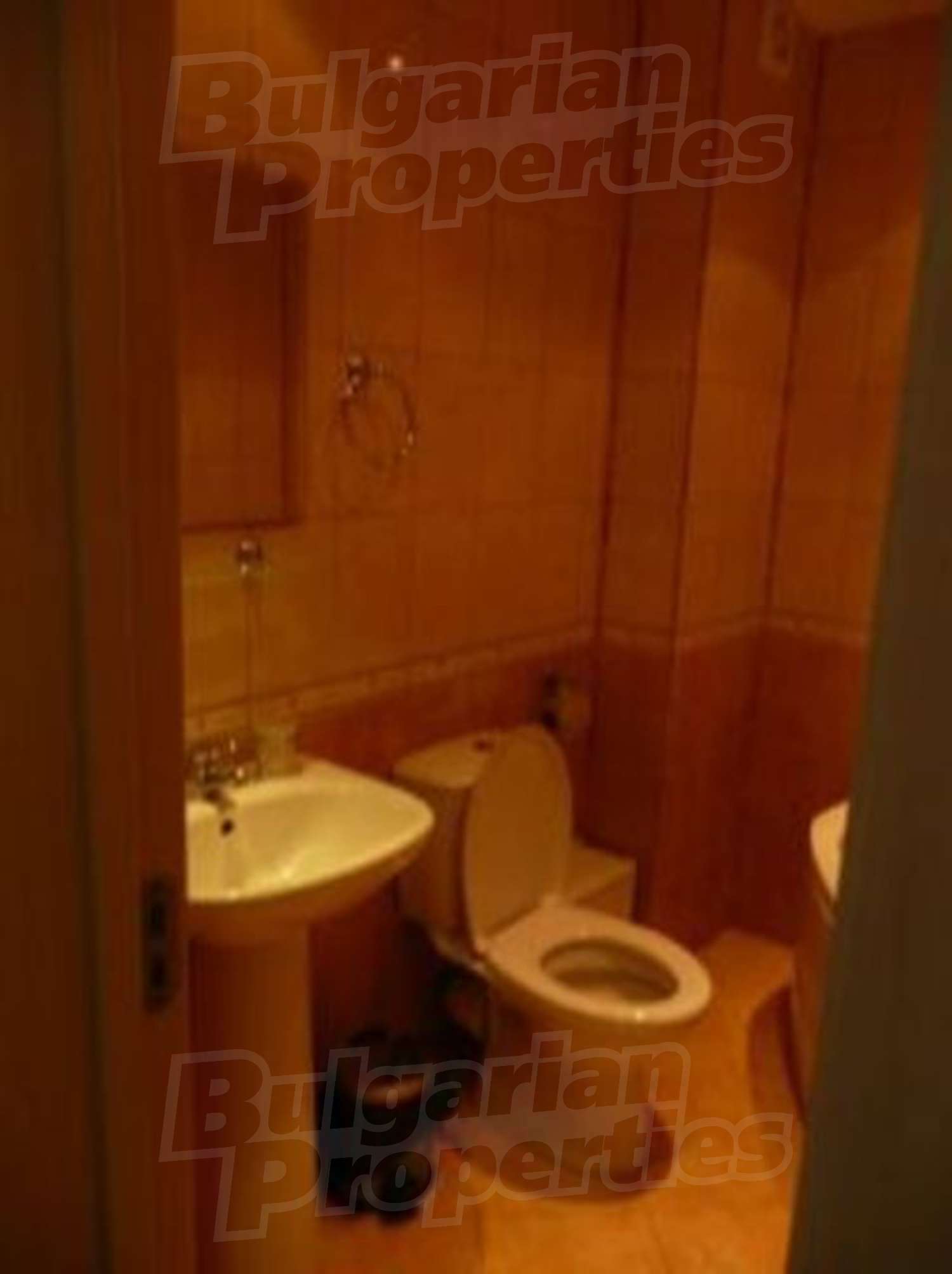 Gallery Picture 10