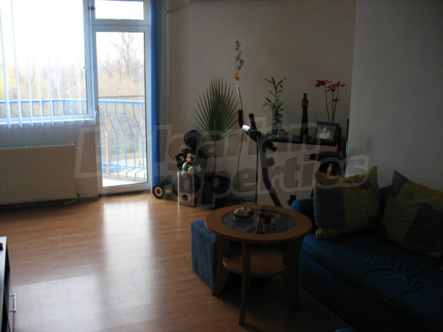 Gallery Picture 5