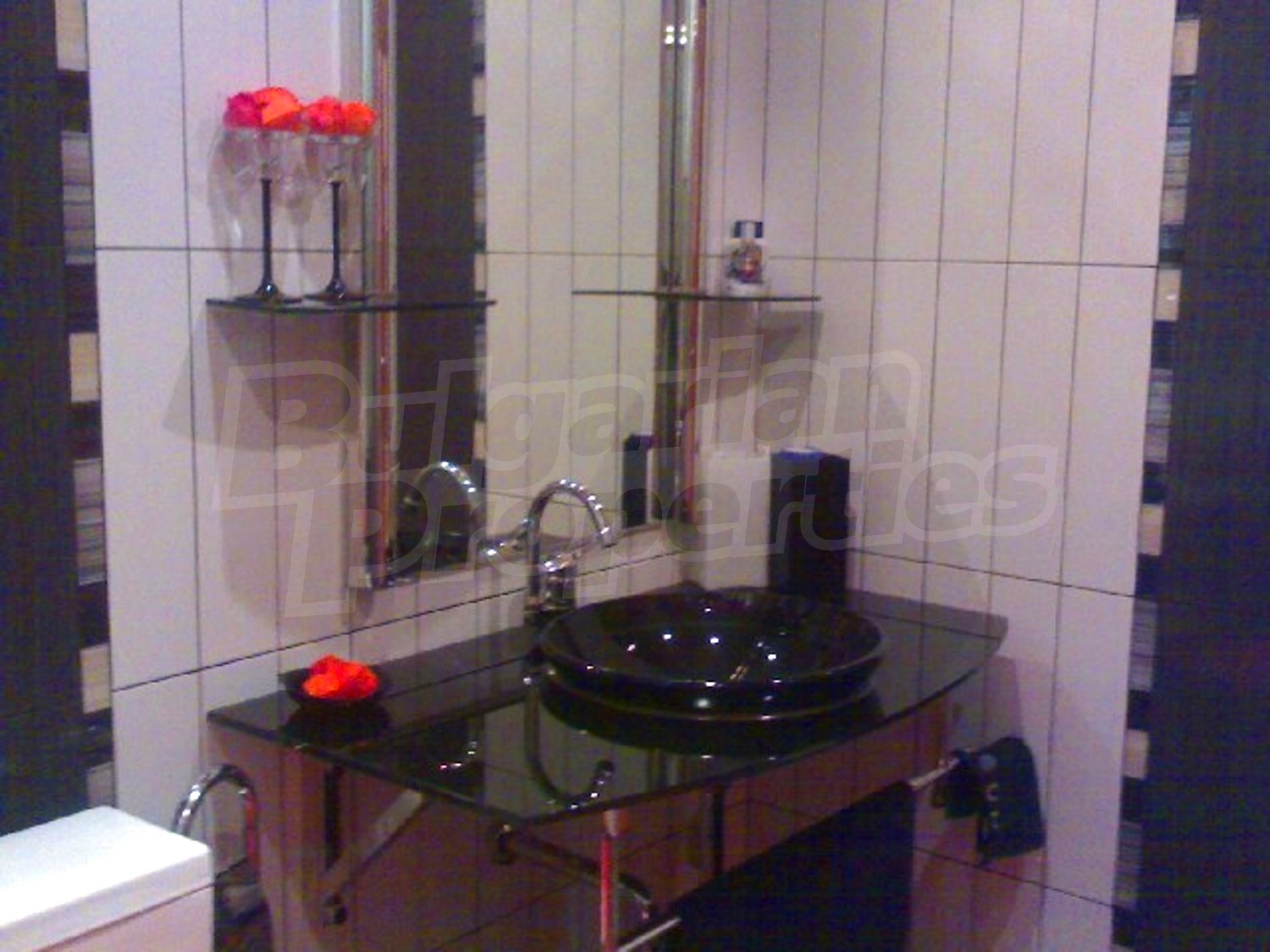 Gallery Picture 10