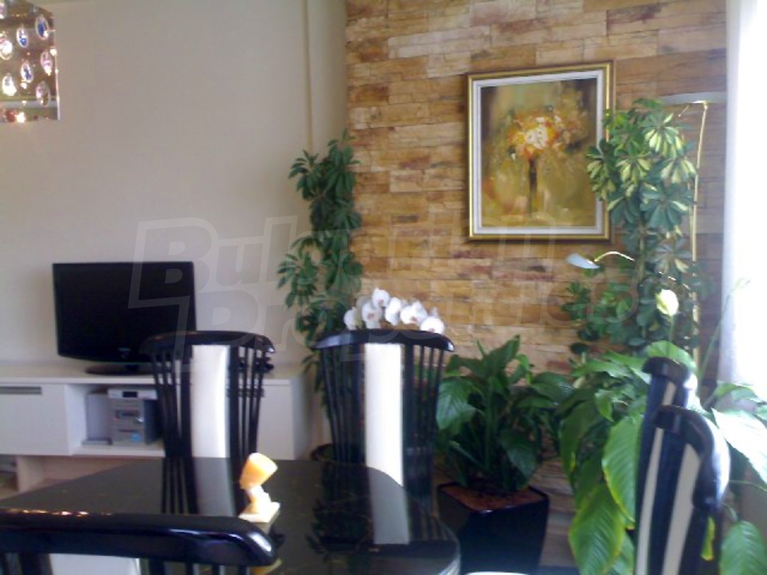Gallery Picture 5
