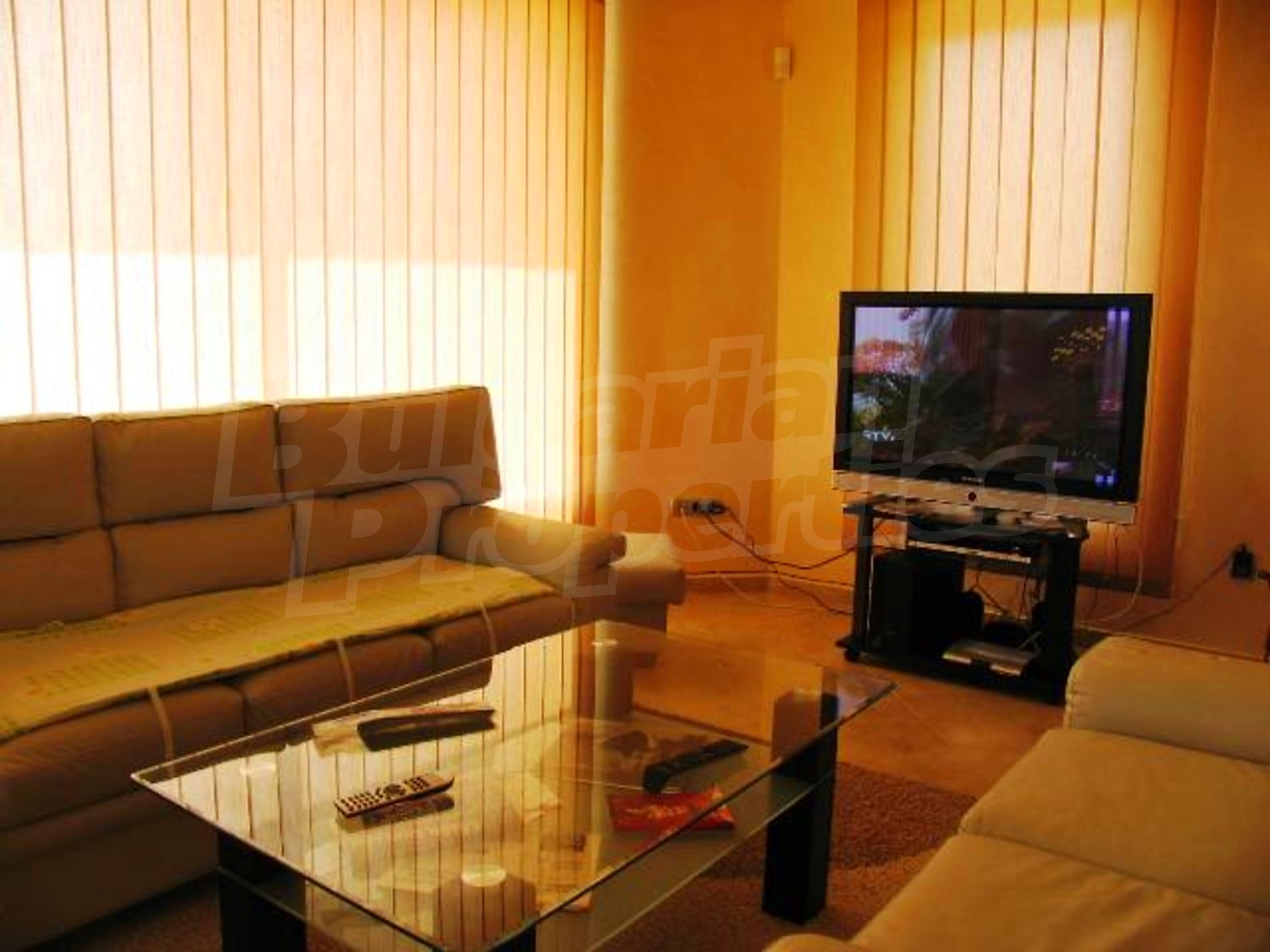 Gallery Picture 17