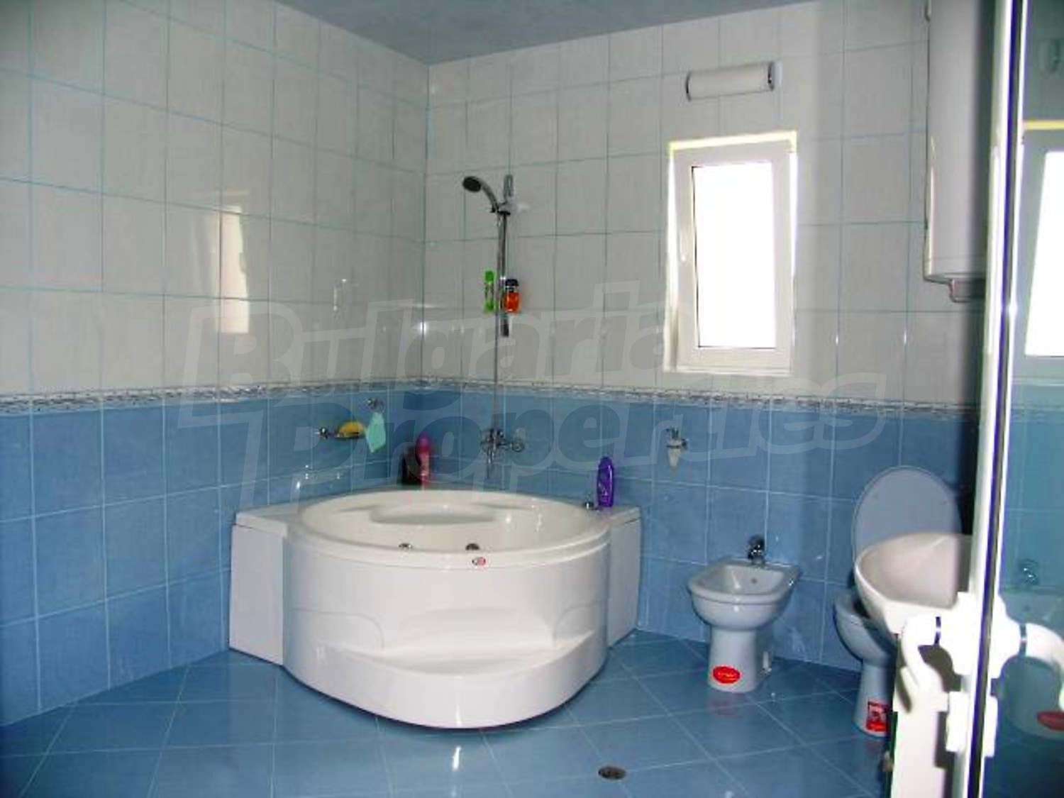 Gallery Picture 31