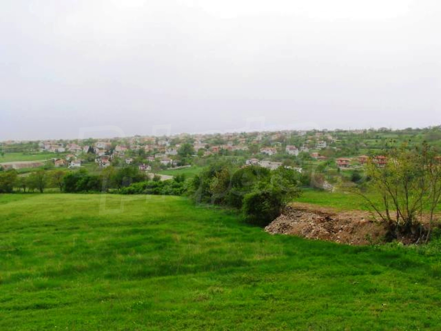Gallery Picture 40