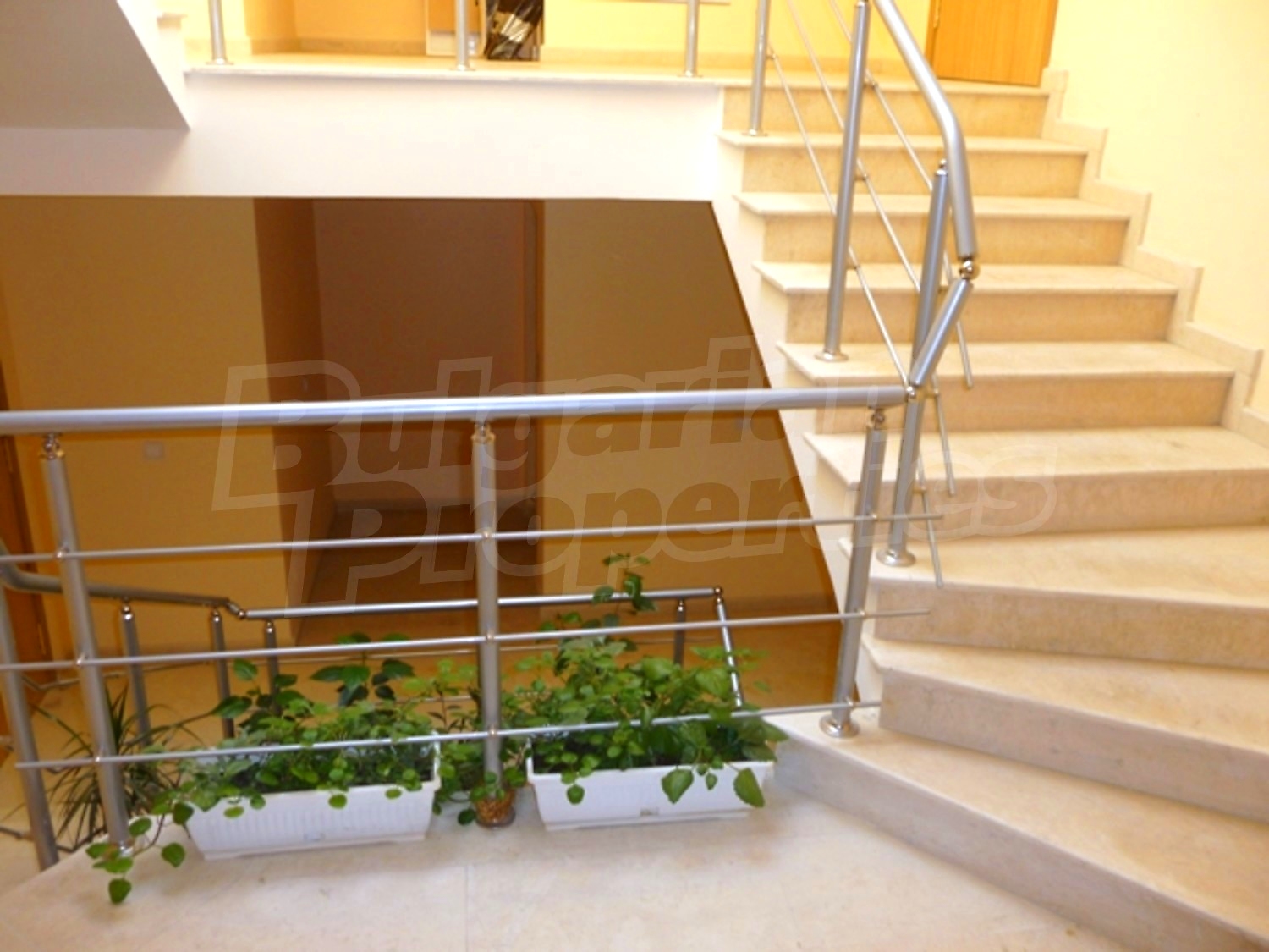 Gallery Picture 12
