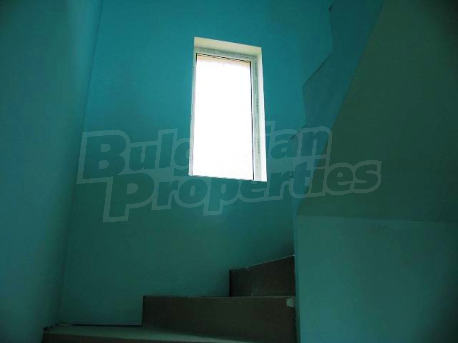 Gallery Picture 10
