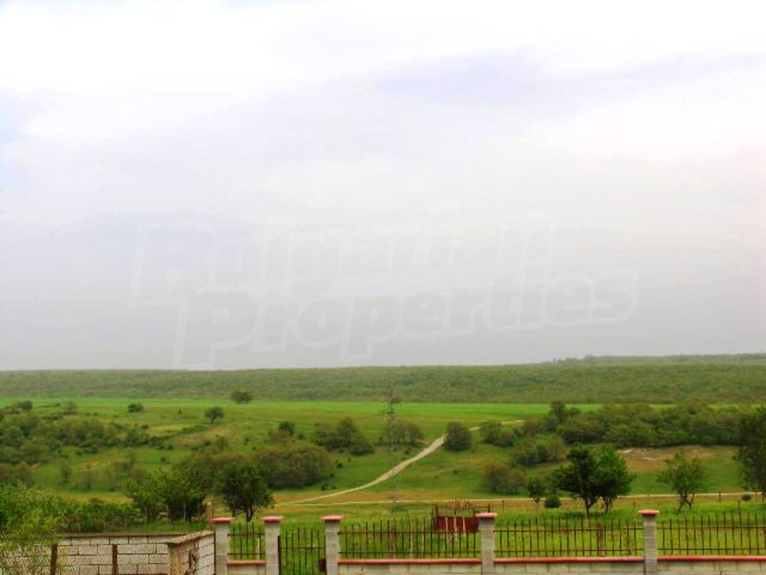 Gallery Picture 7