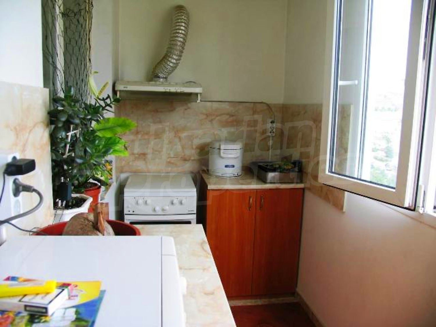 Gallery Picture 11