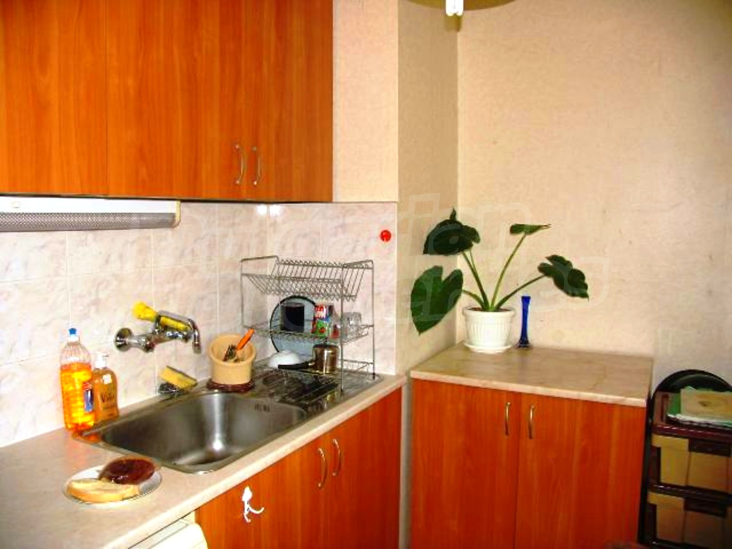 Gallery Picture 9