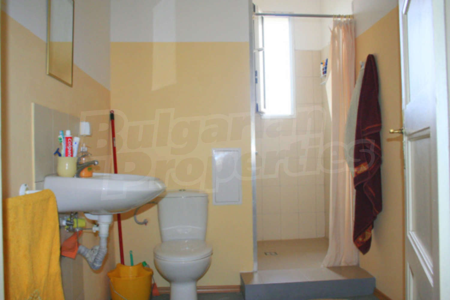 Gallery Picture 16