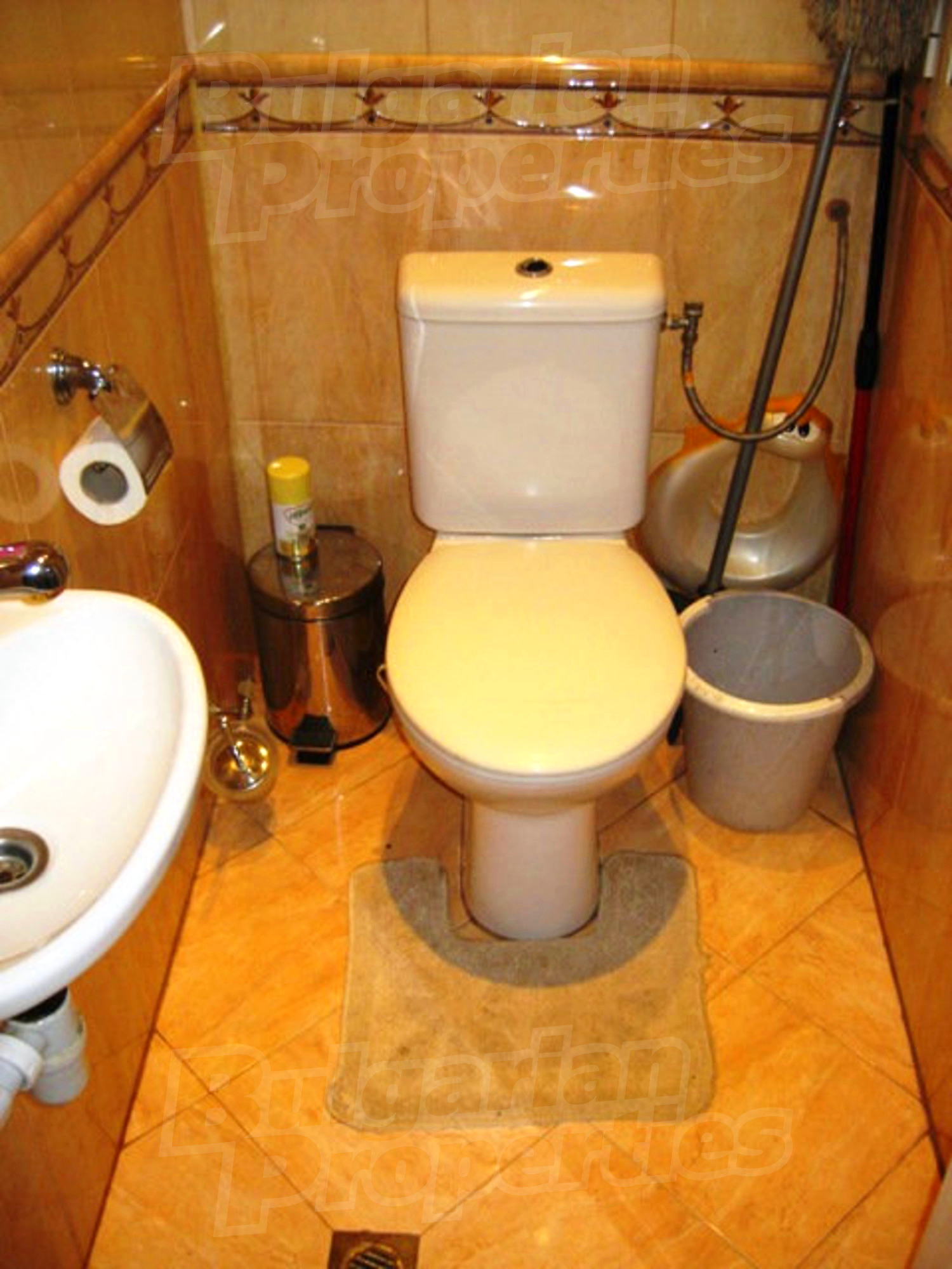 Gallery Picture 27