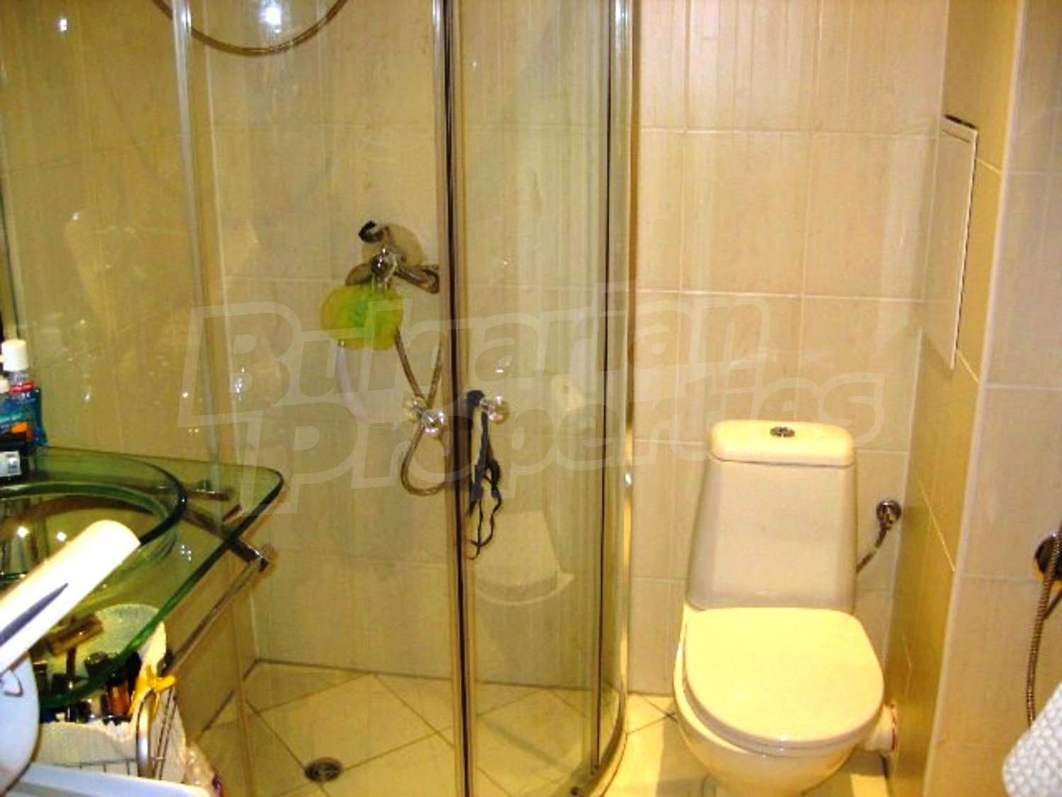 Gallery Picture 11