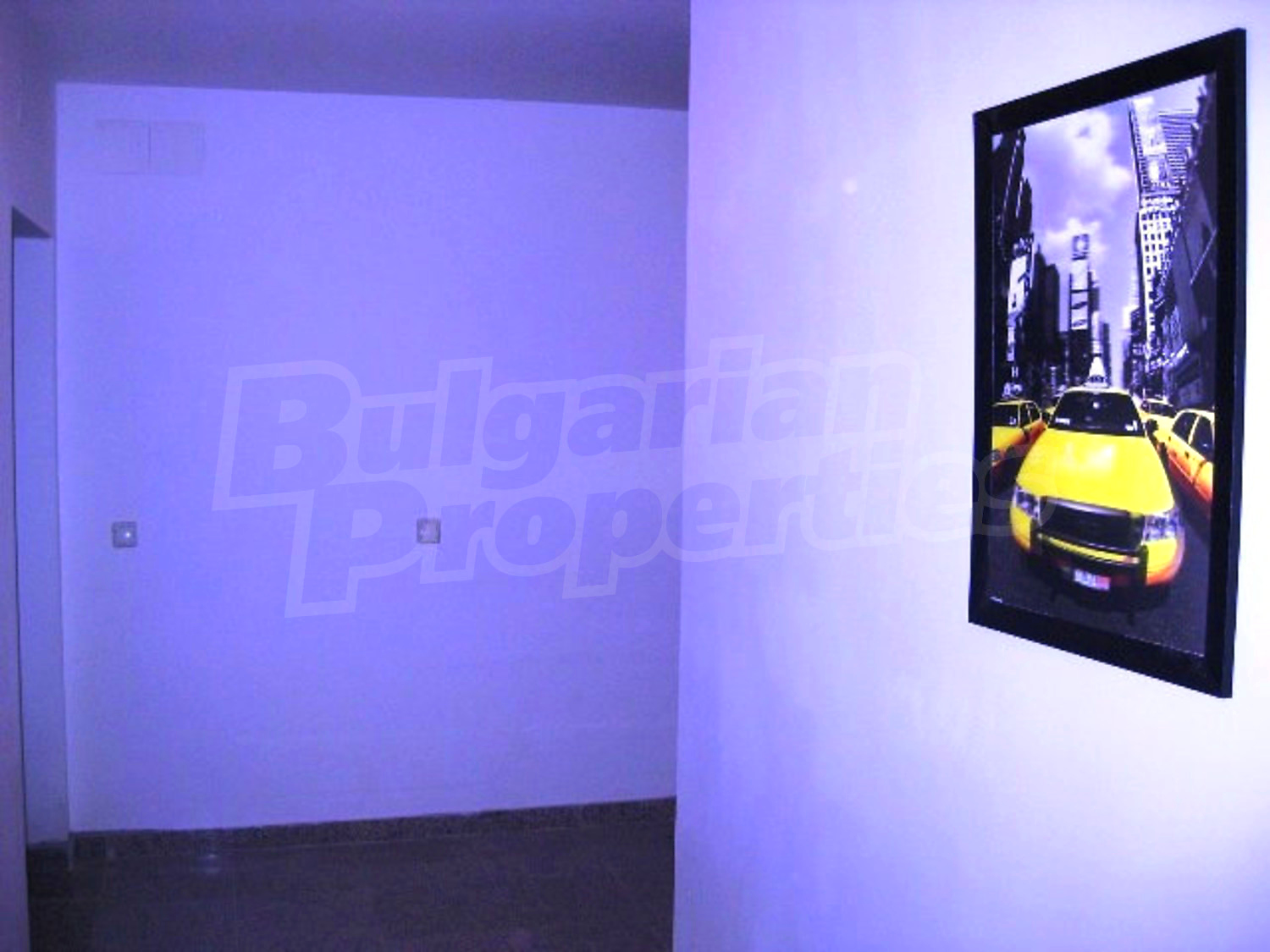 Gallery Picture 14