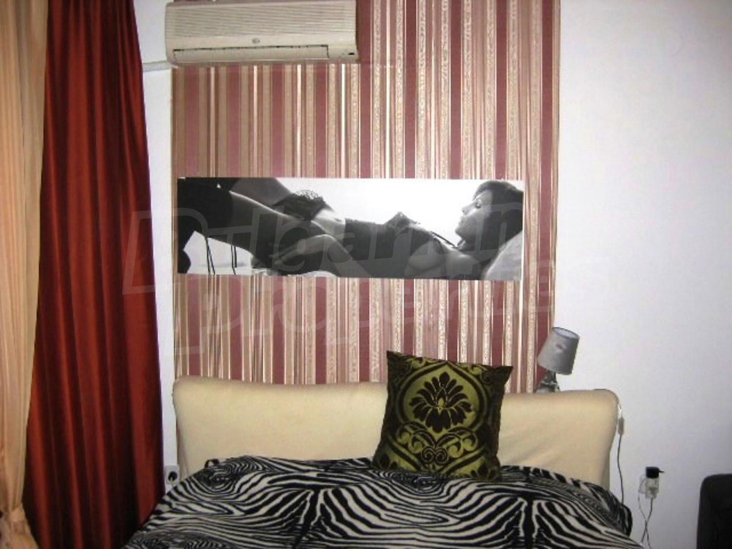 Gallery Picture 6