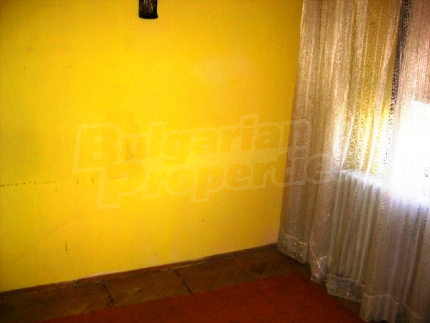 Gallery Picture 12