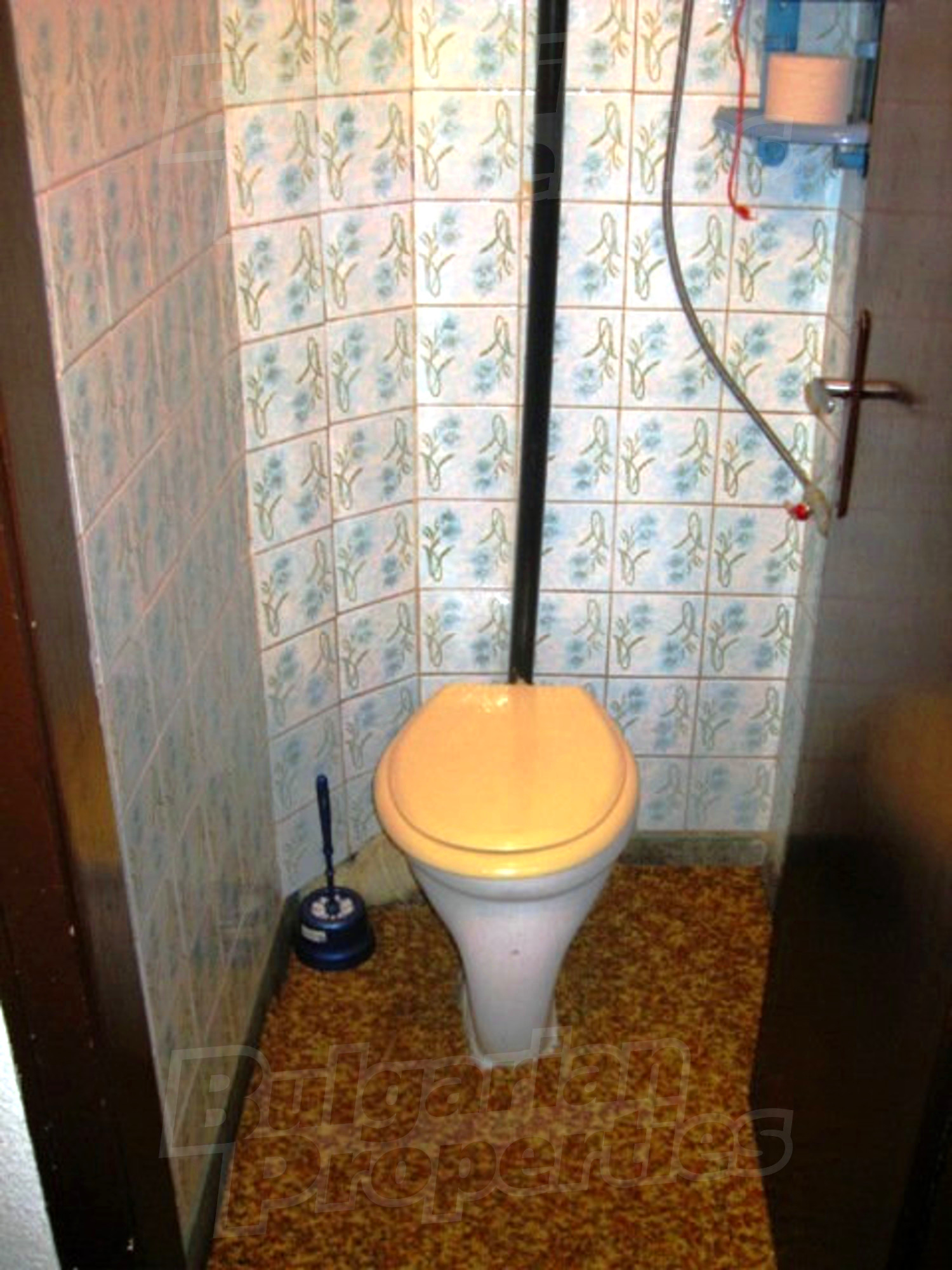 Gallery Picture 19