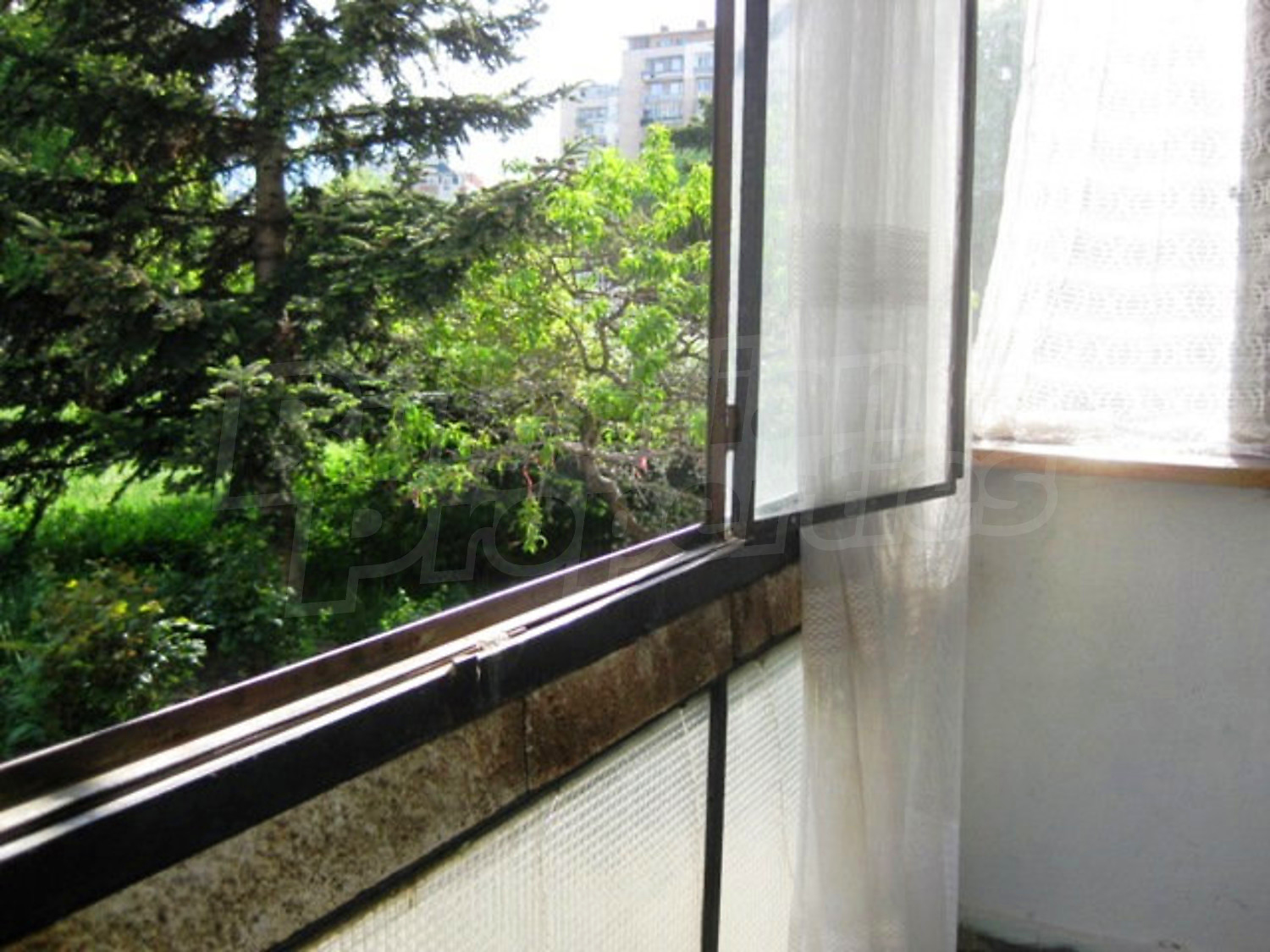 Gallery Picture 20