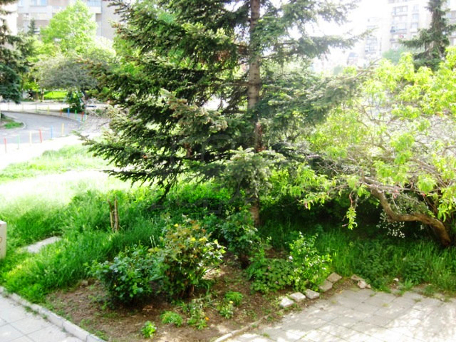 Gallery Picture 25
