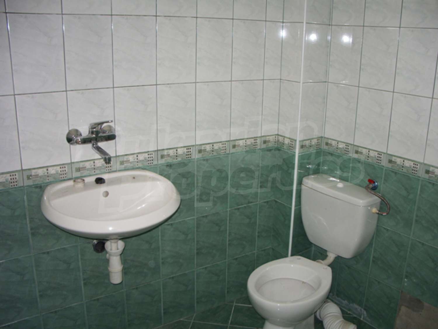 Gallery Picture 10