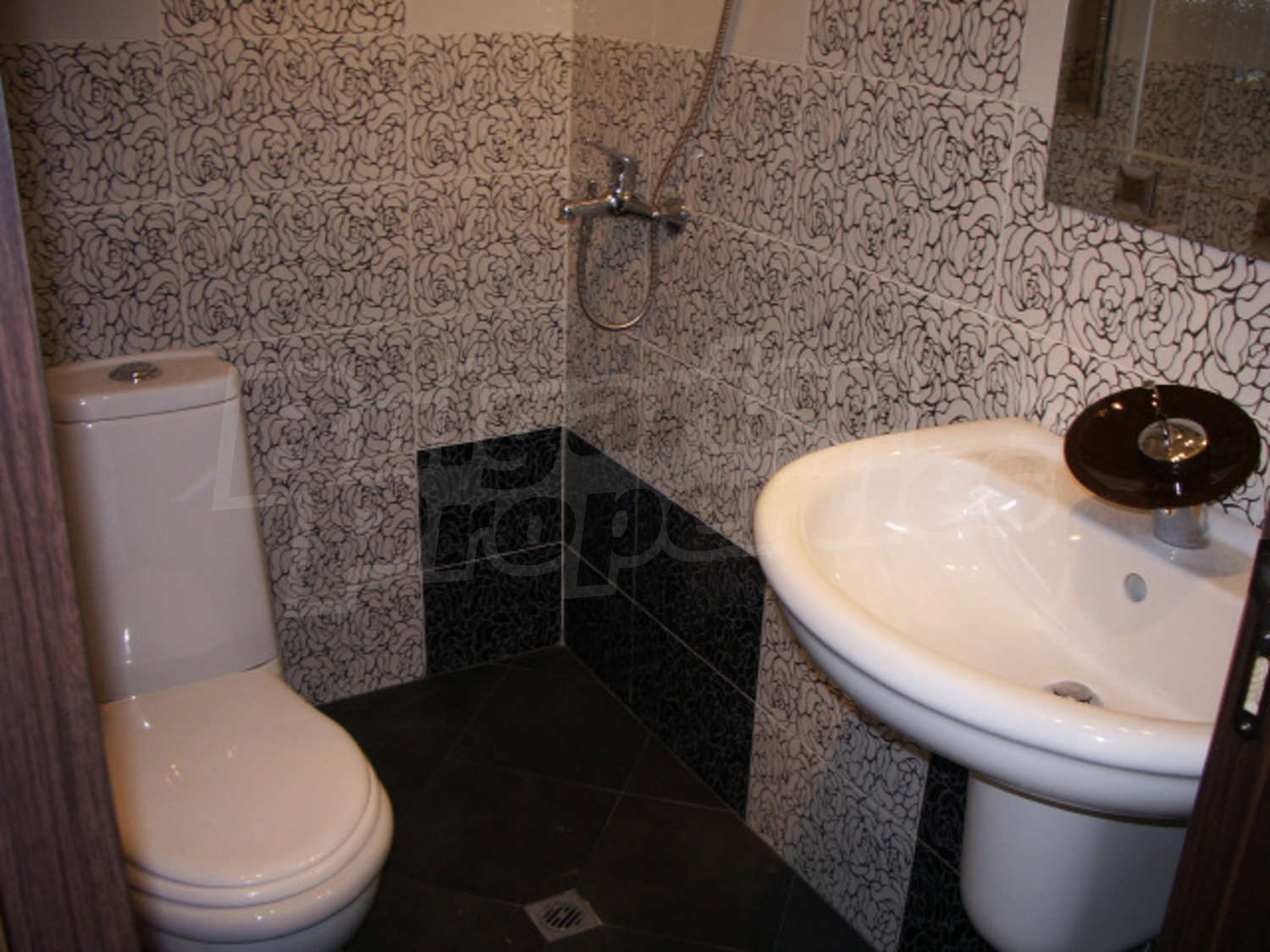 Gallery Picture 12