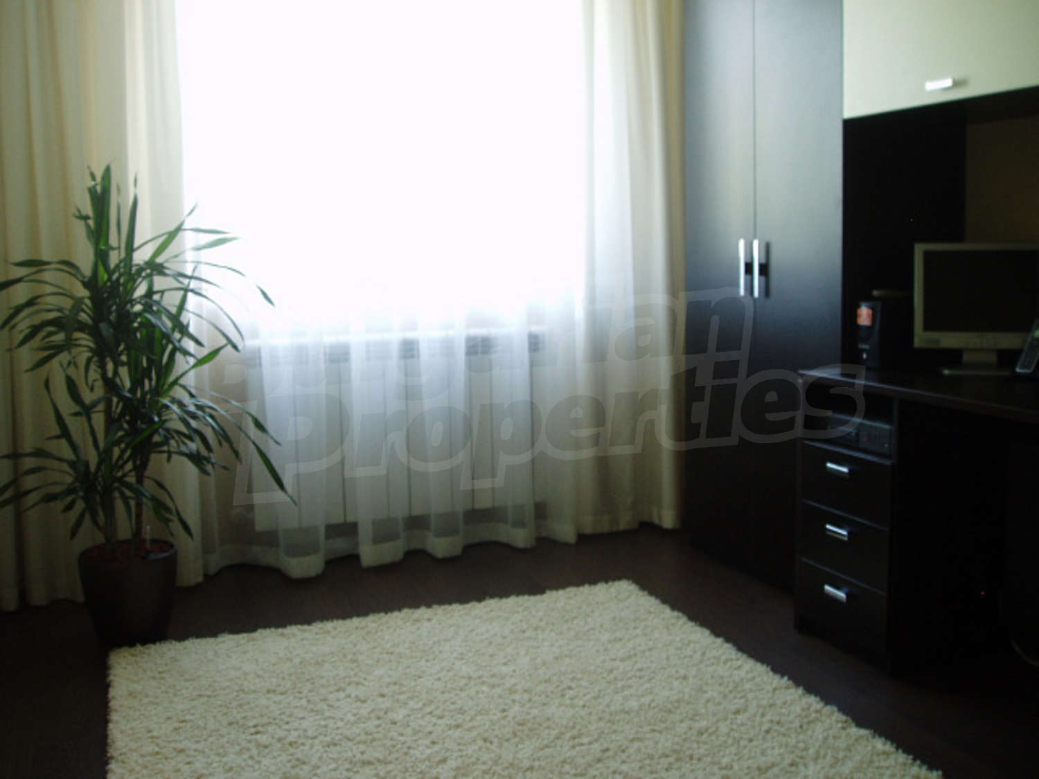 Gallery Picture 13