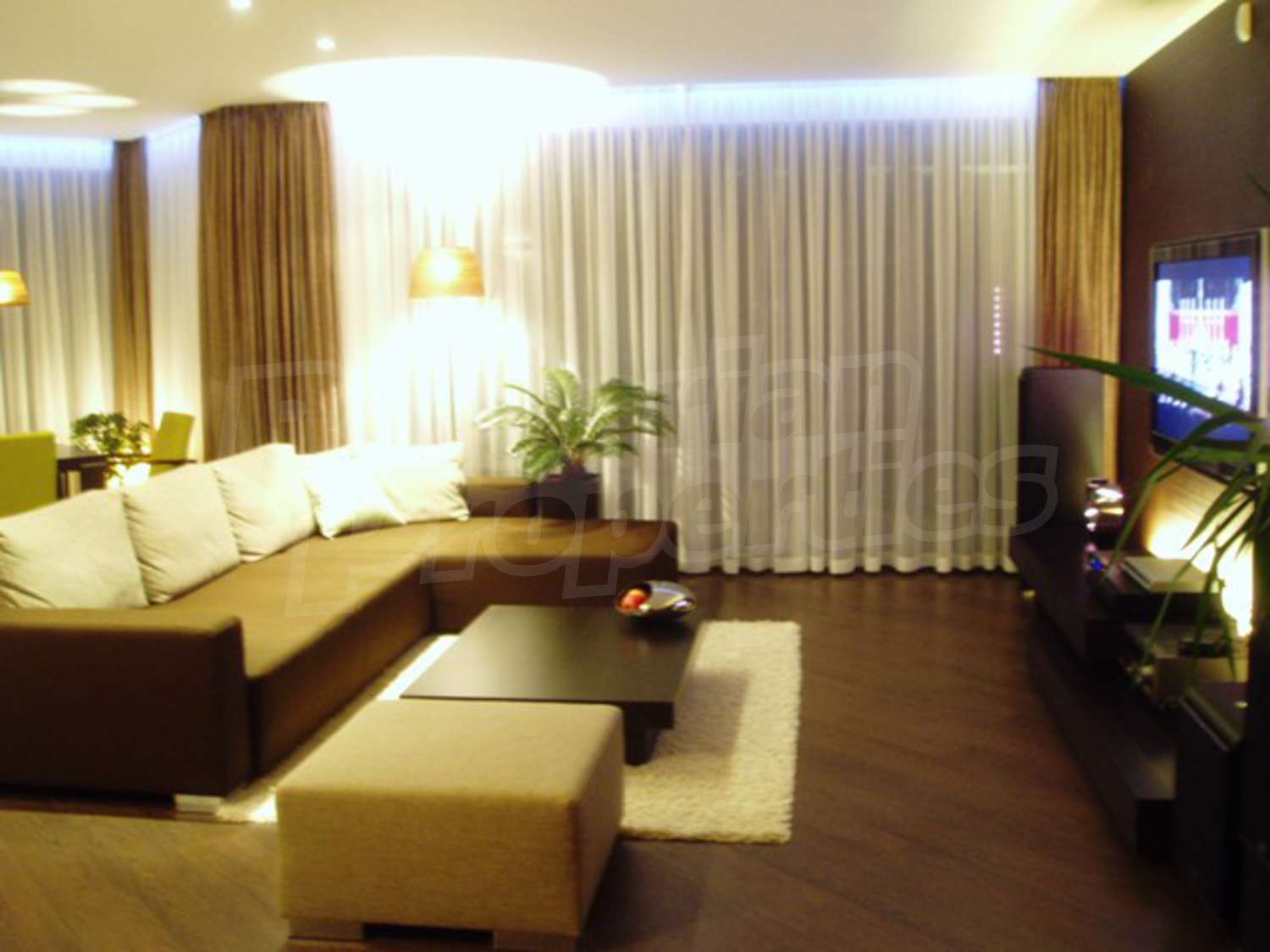 Gallery Picture 35
