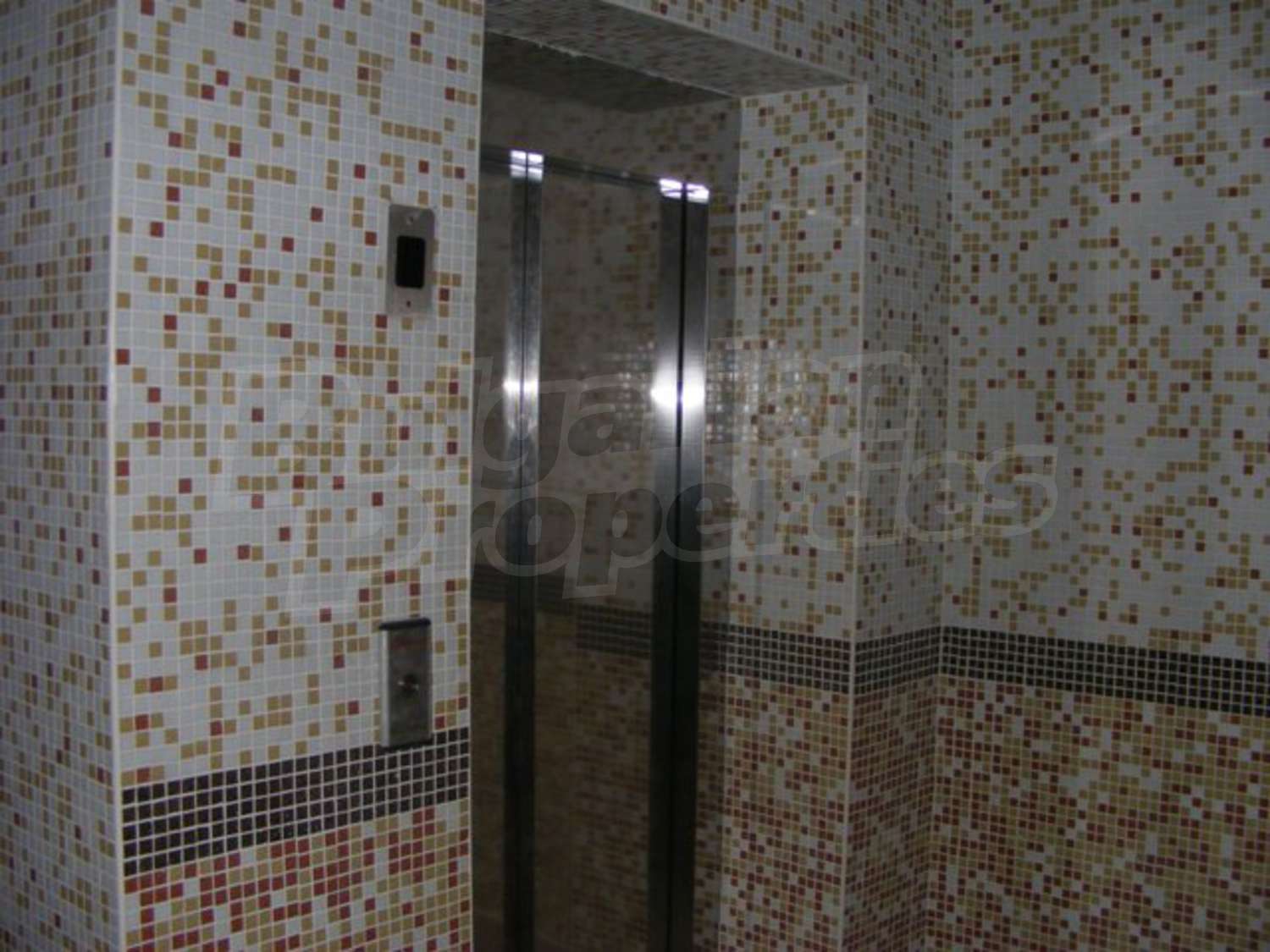 Gallery Picture 10
