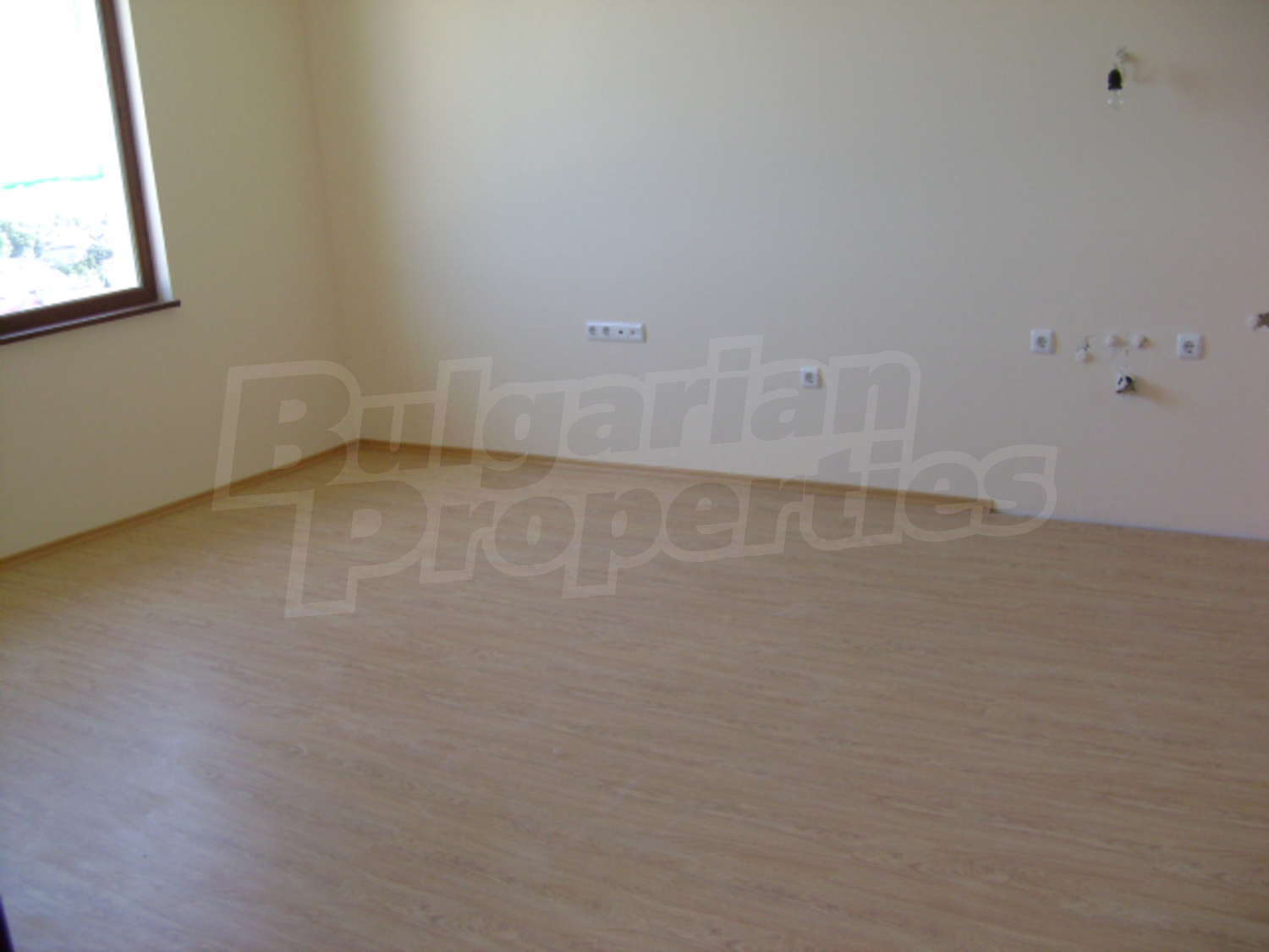 Gallery Picture 5