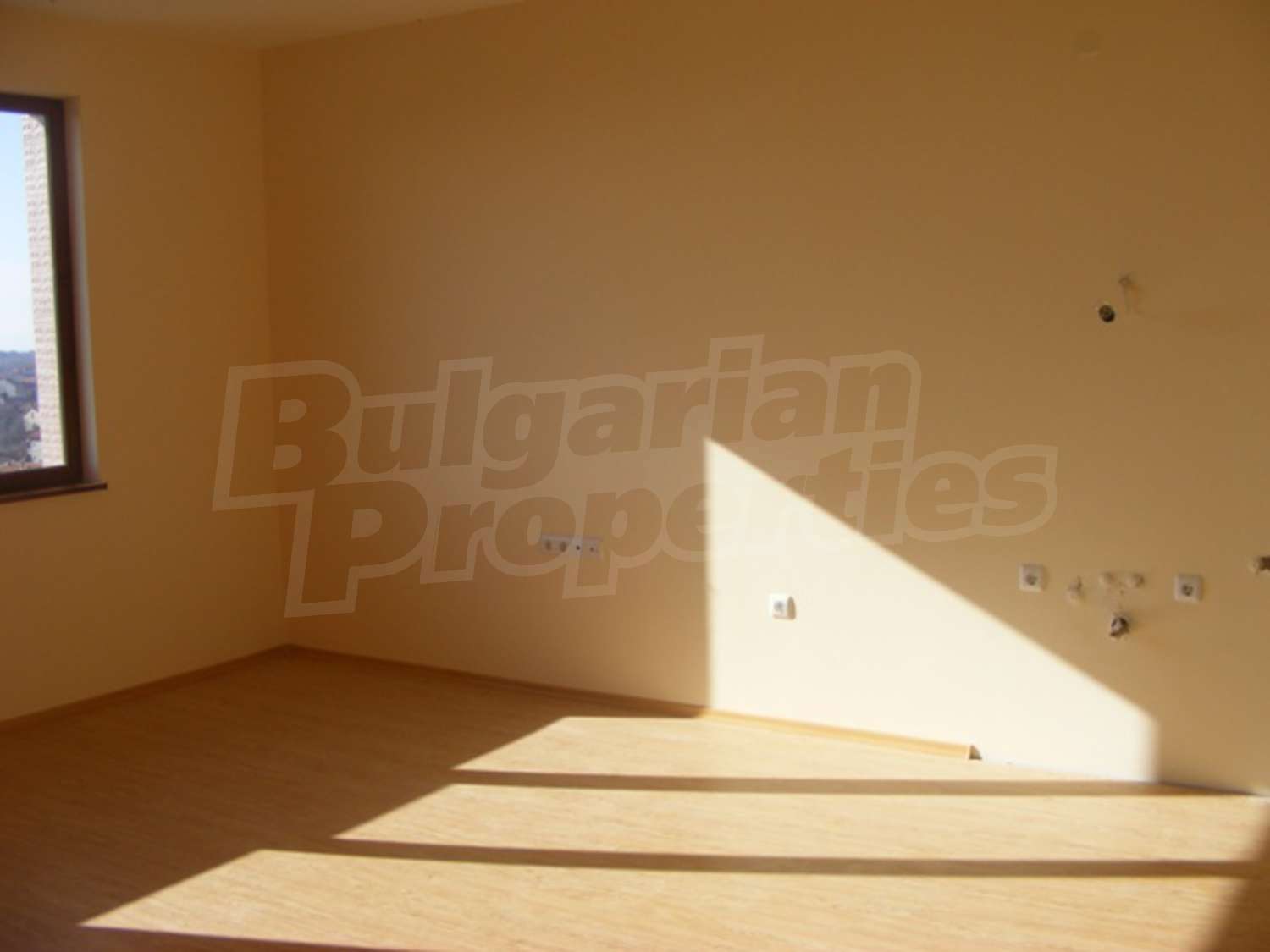 Gallery Picture 8