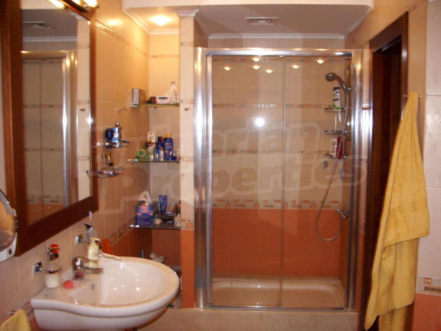 Gallery Picture 17