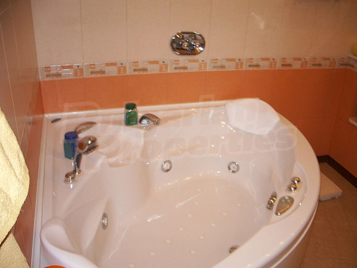 Gallery Picture 18