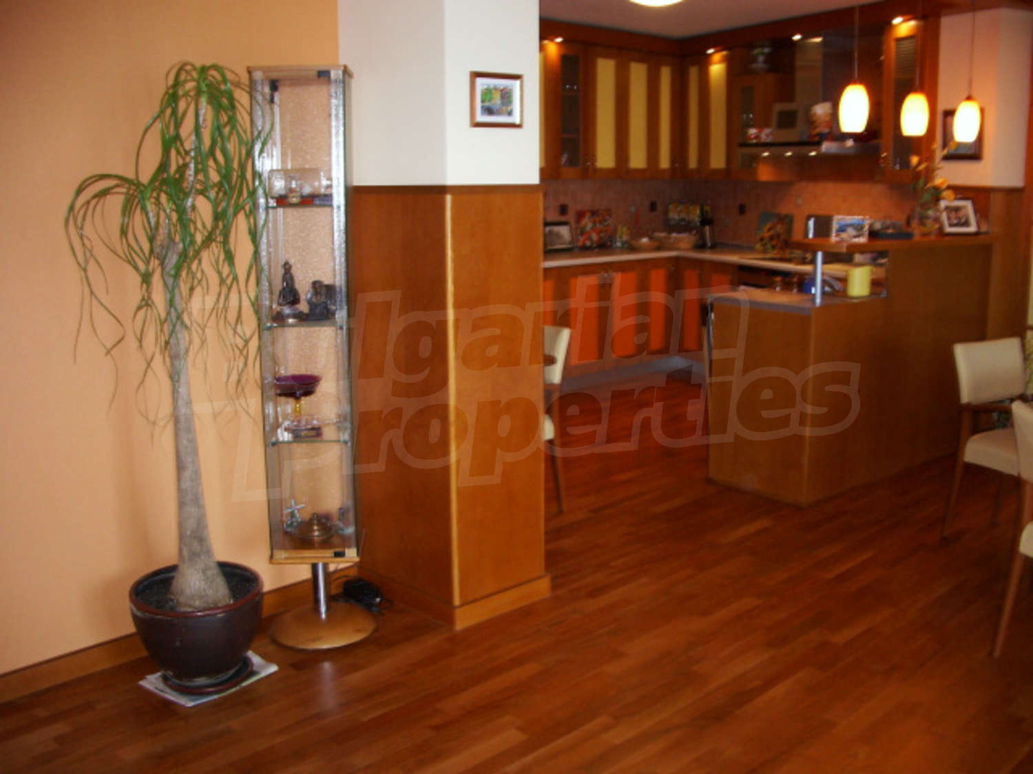 Gallery Picture 7
