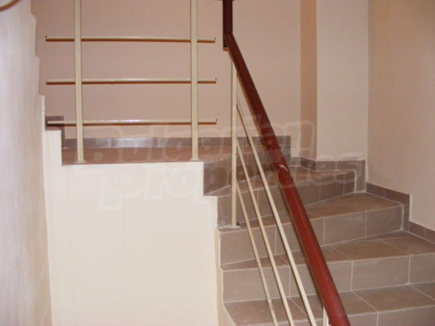 Gallery Picture 5