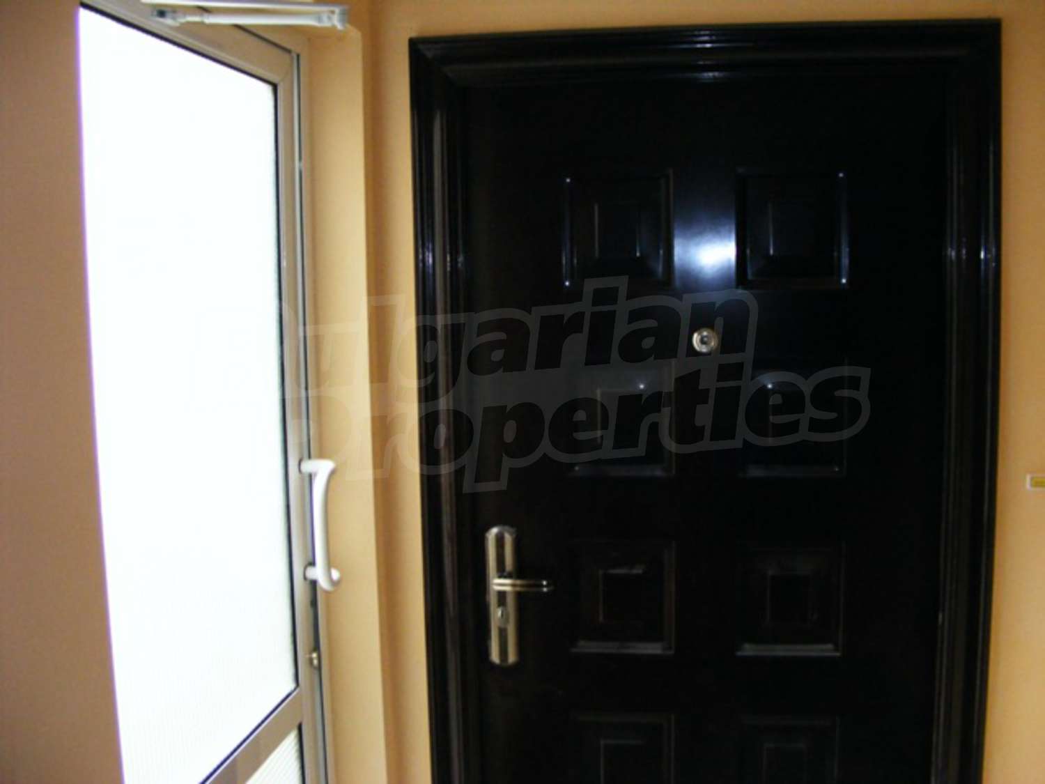 Gallery Picture 6