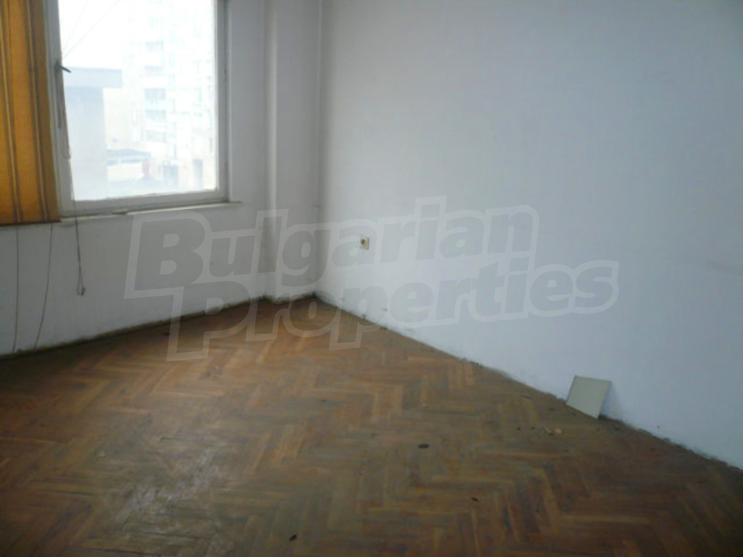 Gallery Picture 10