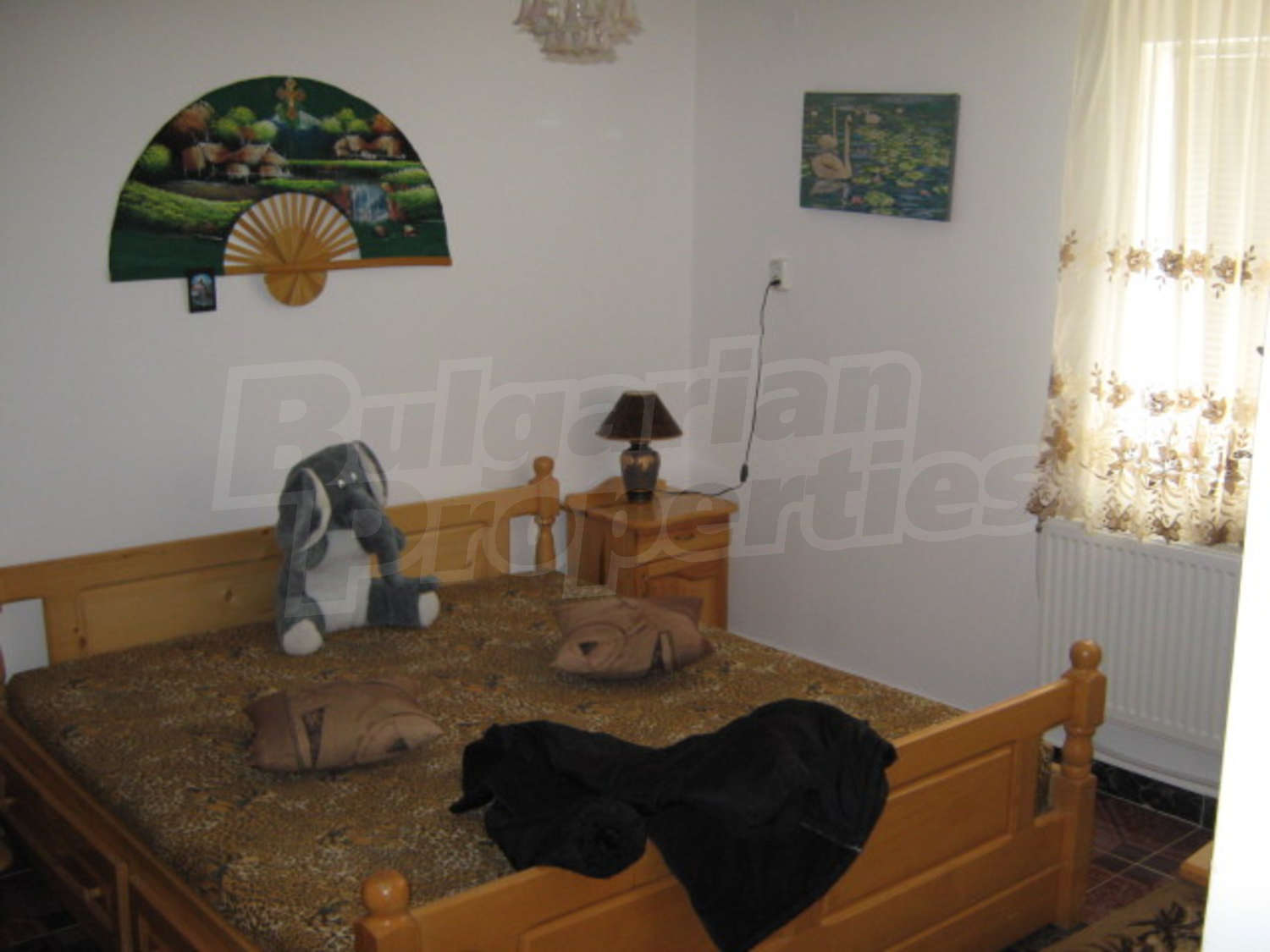 Gallery Picture 13