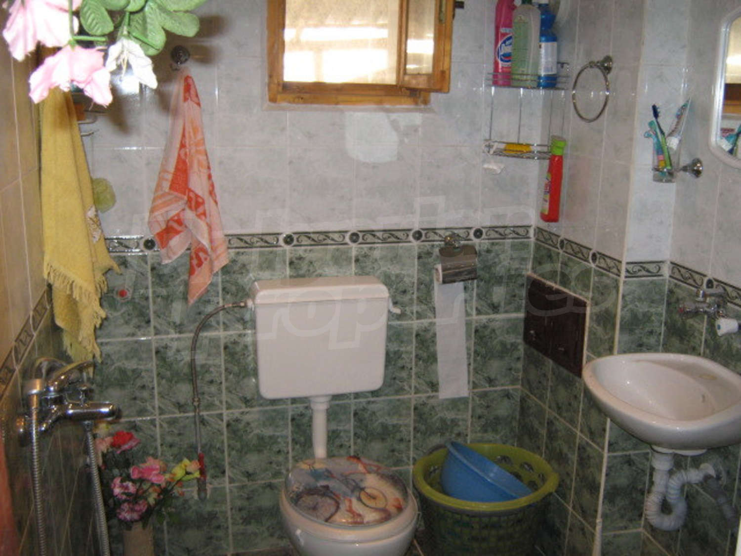 Gallery Picture 14