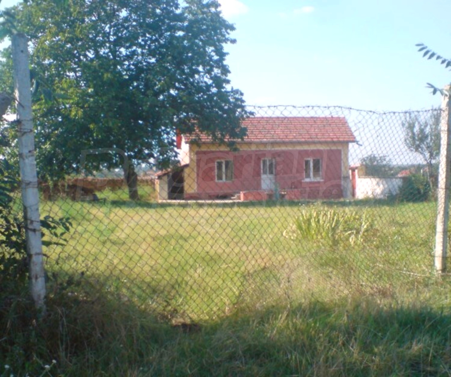 Gallery Picture 13