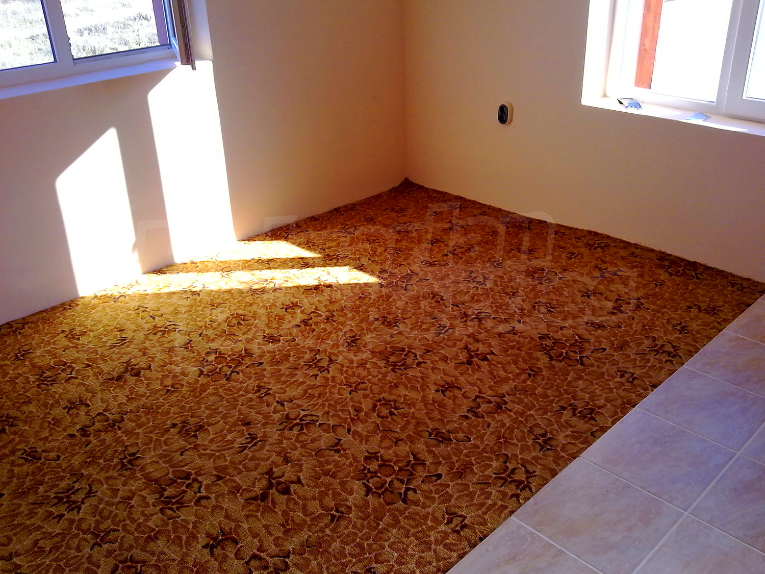 Gallery Picture 2