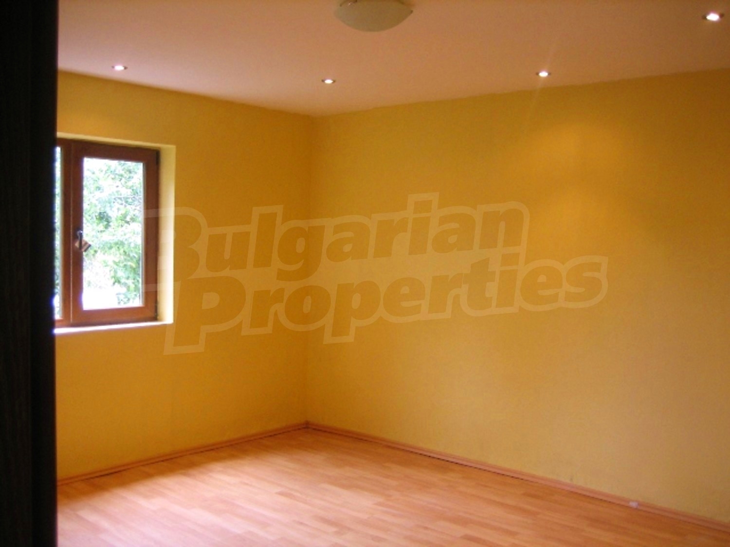 Gallery Picture 10