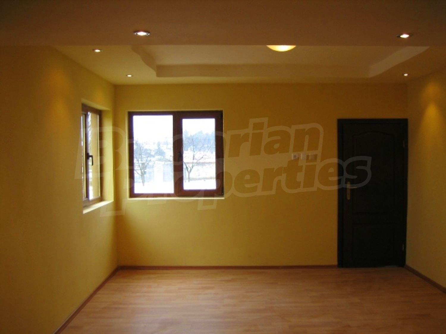 Gallery Picture 11