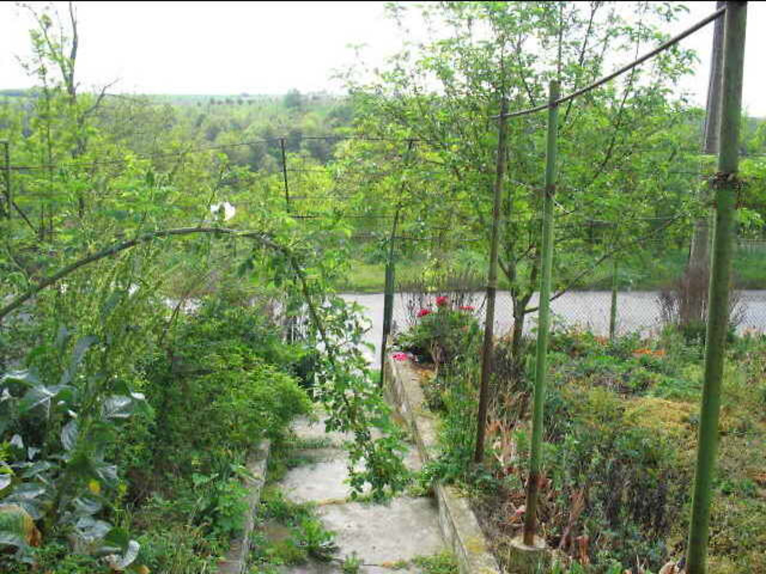 Gallery Picture 3