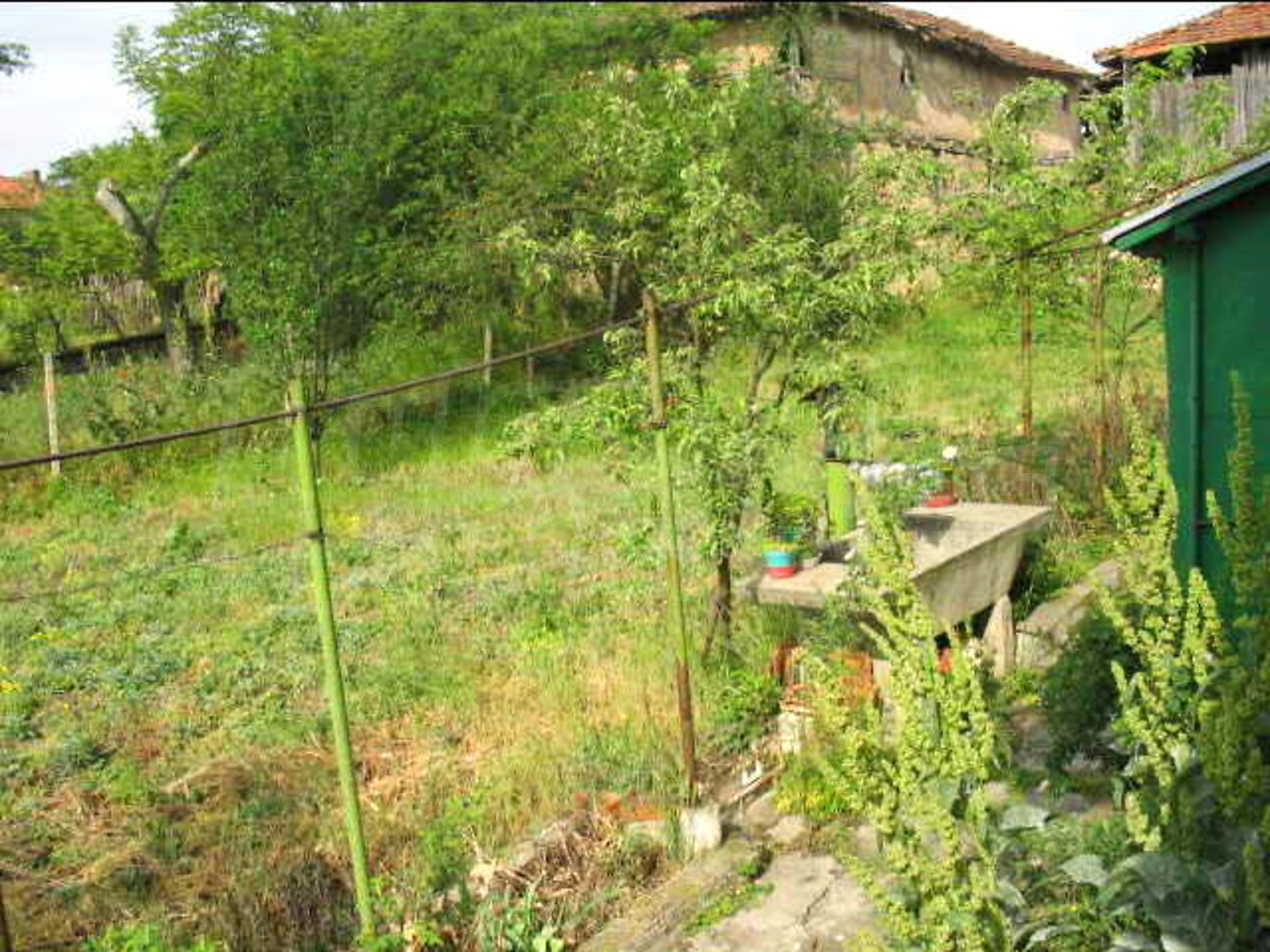 Gallery Picture 9