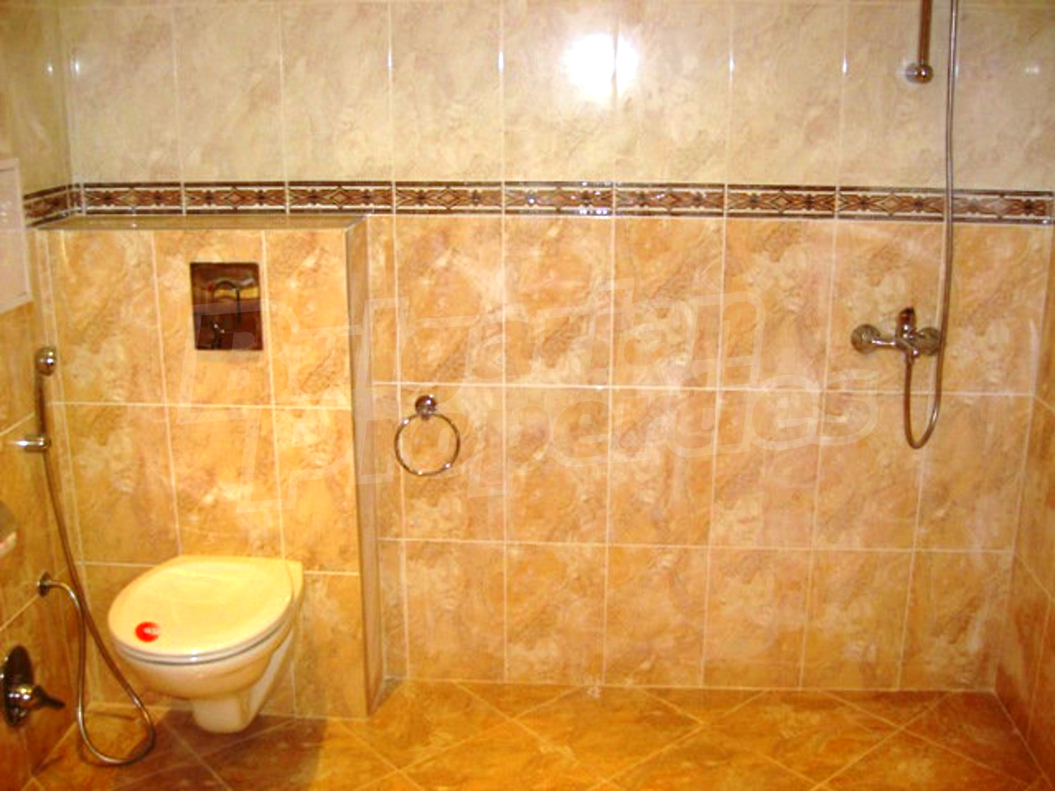 Gallery Picture 17
