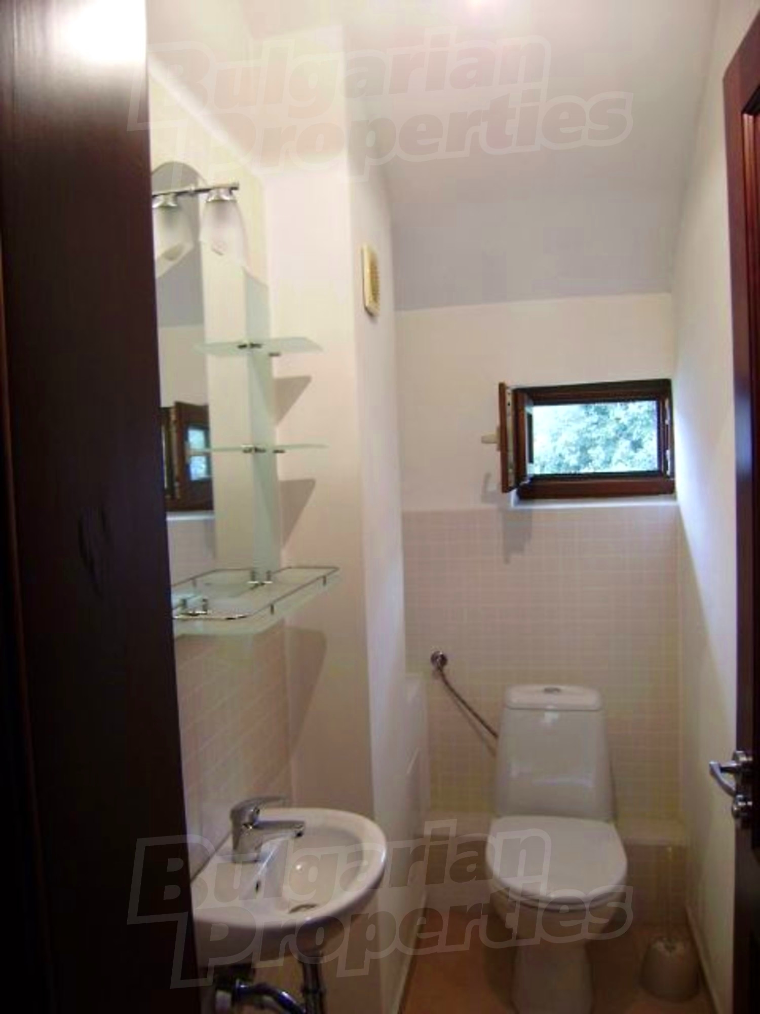 Gallery Picture 12